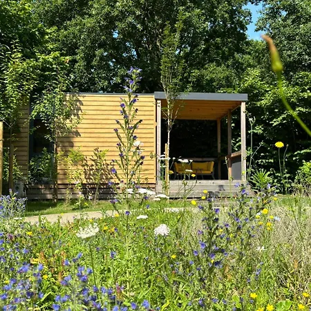Urban Gardens